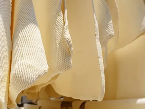 Hàng chục nghìn tấn 'vàng trắng' của Việt Nam được Malaysia chốt đơn: 1/3 thế giới ưa chuộng, nước ta có diện tích trồng hơn 900.000 ha