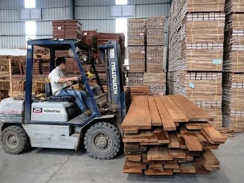 Bị nhầm, đại gia gỗ trên sàn trình lại tỷ lệ chào bán cổ phiếu cho cổ đông hiện hữu từ 5% lên 20%