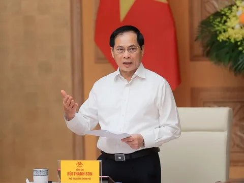 Đặc khu lớn nhất VN nhận nhiệm vụ thu hút 21 nền kinh tế, Phó Thủ tướng sẽ kiểm tra 2 - 3 tháng/lần