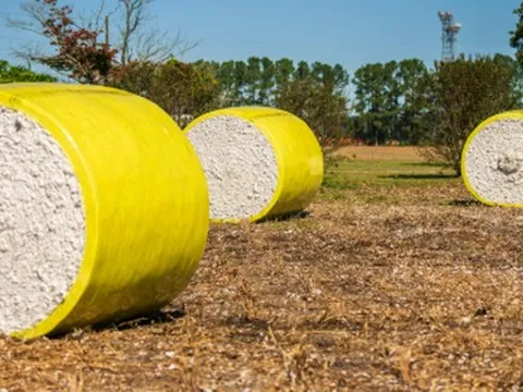 Mỹ chi hơn 10 tỷ USD mua một 'mỏ vàng' của Việt Nam từ đầu năm: Nước ta vừa vươn lên đứng thứ 2 thế giới về xuất khẩu, 132 quốc gia đã chốt đơn hàng