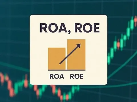 Phân tích cơ bản cho người mới: Hiểu đúng về ROA và ROE