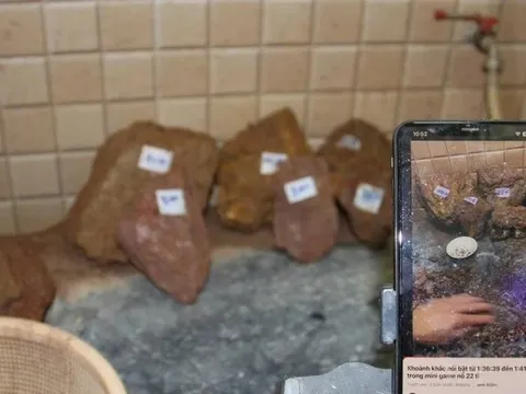 Livestream lừa bán đá thô đục ra có đá qúy, nhóm đối tượng ở Lào Cai cuỗm 10 tỷ đồng