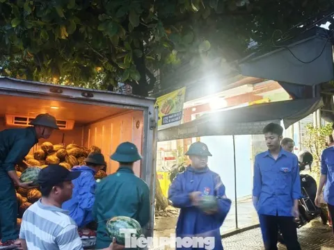 Bão số 5 áp sát, cả phường ngược xuôi giải cứu dưa hấu