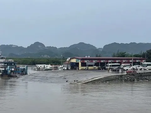 Khuyến khích giảm 50% giá phòng cho du khách mắc kẹt do bão số 5 tại Cát Bà