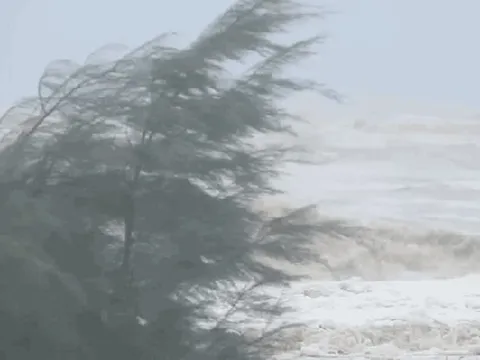 Bão số 5 đổ bộ vào Nam Nghệ An - Bắc Hà Tĩnh