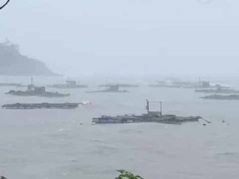 Bão số 5 giật cấp 13 đổ bộ vào đất liền Việt Nam: Những tỉnh thành nào chịu ảnh hưởng mạnh nhất?