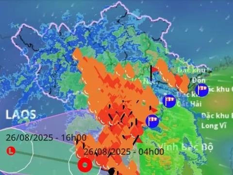 Dị thường như bão số 5