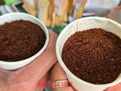 Giá cà phê hôm nay 26-8: Sụt giảm, kho hàng cạn kiệt