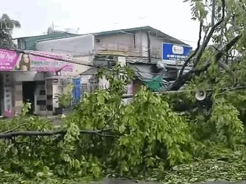 VIDEO: Tan hoang sau khi cuồng phong do bão số 5 quét qua