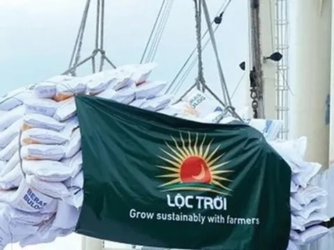 Cổ đông Lộc Trời không chấp nhận kế hoạch lỗ 500 tỷ, không bầu bổ sung thành viên HĐQT