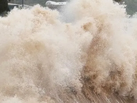 Biển Đông sắp đón áp thấp nhiệt đới, có thể gây mưa dịp Quốc khánh 2/9