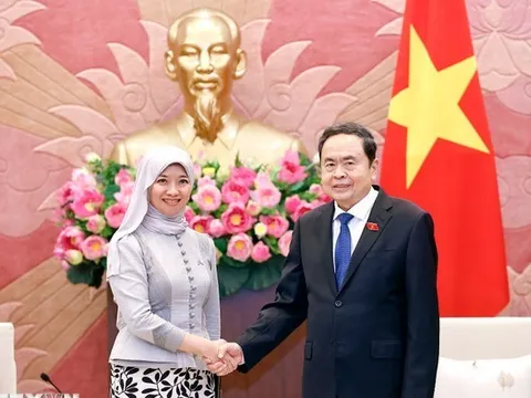 Việt Nam là thành viên tích cực, trách nhiệm trong AIPA