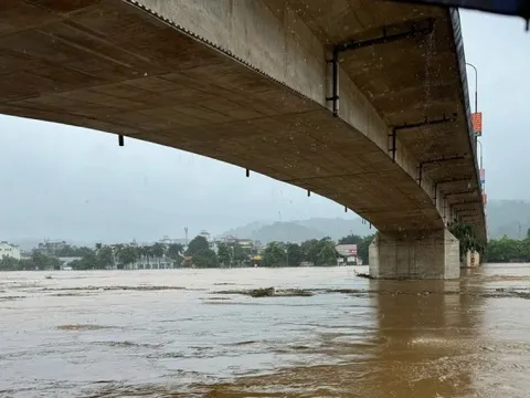 Mưa lớn kéo dài, lũ lên báo động 3 trên nhiều sông