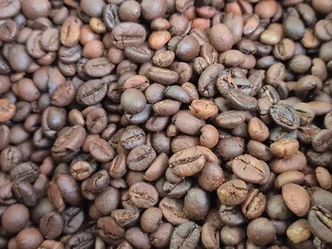 Giá cà phê hôm nay 27-8: Robusta tăng 5 phiên liên tục, cà phê Việt giảm thị phần tại Nhật