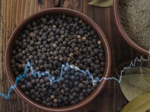 Giá hồ tiêu hôm nay tăng vọt, đạt mức cao sau nhiều tháng