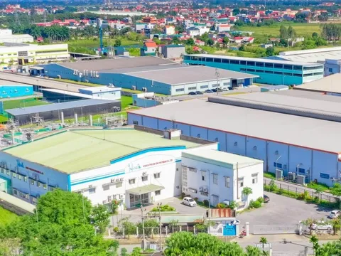 Doanh nghiệp Việt củng cố nội lực trước thềm kỷ nguyên vươn mình