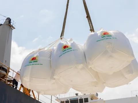 'Ông trùm' lúa gạo tìm lối thoát cho khoản nợ hơn 6.000 tỷ đồng: MB, TPBank, HDBank giang tay cứu giúp