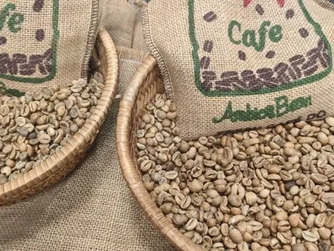 Giá cà phê hôm nay 28-8: Khó tin, Robusta tăng mạnh phiên thứ 6 liên tiếp