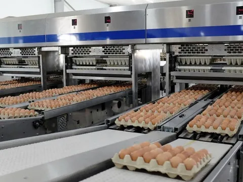 Một mảng kinh doanh rất “khác” ở Hòa Phát