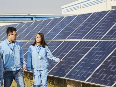 Từ chiến lược toàn cầu đến dẫn dắt mục tiêu Net-zero 2050