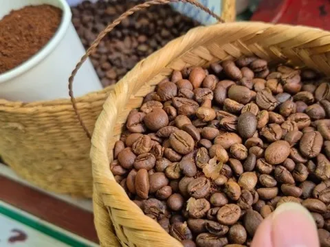 Giá cà phê hôm nay 29-8: Mạch tăng giá bị cắt, Mỹ trồng cà phê