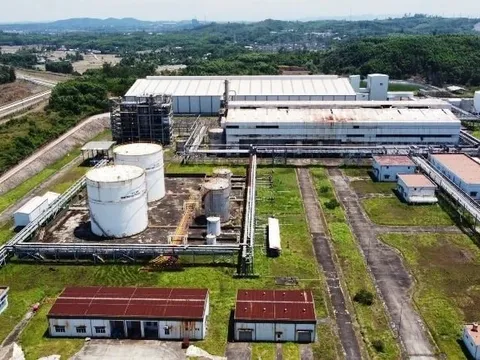 Triển khai xăng E10: Canh bạc mạo hiểm với các dự án ethanol ‘đắp chiếu’?