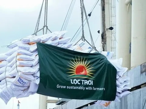 Vì sao Tập đoàn Lộc Trời bị xử phạt?