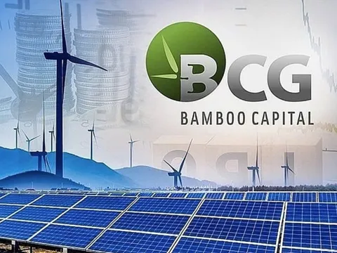 Cổ phiếu “họ” Bamboo Capital tăng bứt phá, đồng loạt hút mạnh dòng tiền từ nhà đầu tư