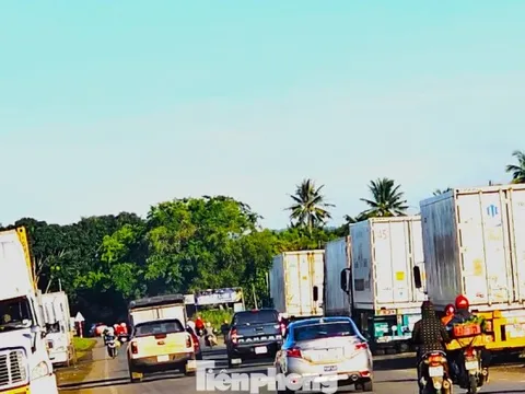 Xe container rồng rắn đi thu mua sầu riêng