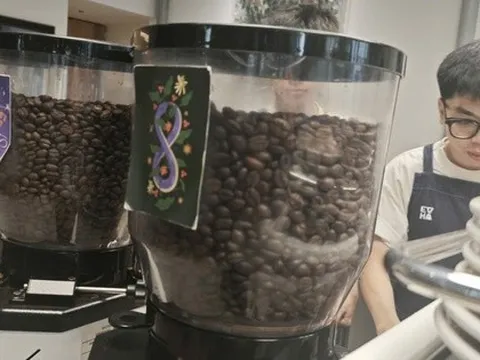 Giá cà phê hôm nay 30-8: Quay lại đà tăng