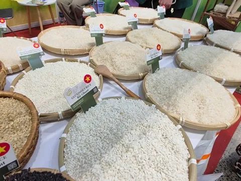 Lại lo đầu ra cho gạo