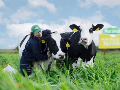 Kỳ vọng bứt phá cho nông nghiệp Gia Lai từ khoản đầu tư lớn của những doanh nghiệp tiên phong