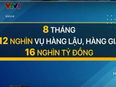 Phát hiện gần 12.000 vụ hàng lậu, hàng giả trong 8 tháng