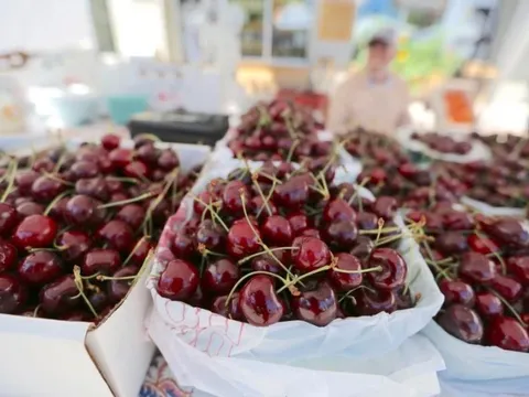 Rau quả Mỹ về Việt Nam bất ngờ tăng mạnh