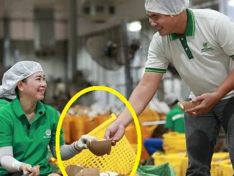 Sản vật tỷ USD của Việt Nam lọt Top 5 thế giới: Cách mặt đất 3-25m, chứa "nước thần" cực bổ