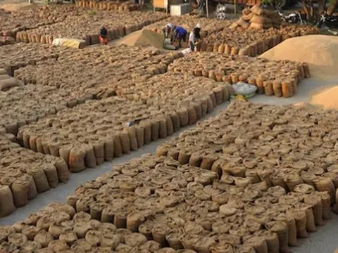 Một ‘mỏ vàng’ của Việt Nam đang được các quốc gia châu Phi đua nhau săn lùng: Xuất khẩu đứng thứ 2 thế giới, nước ta liên tục đe dọa ngôi vương của Thái Lan