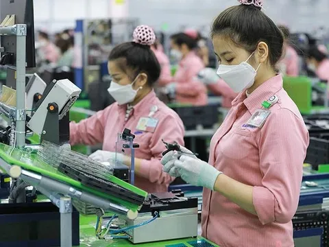 Thu ngân sách gần 300.000 tỷ đồng từ xuất nhập khẩu 8 tháng