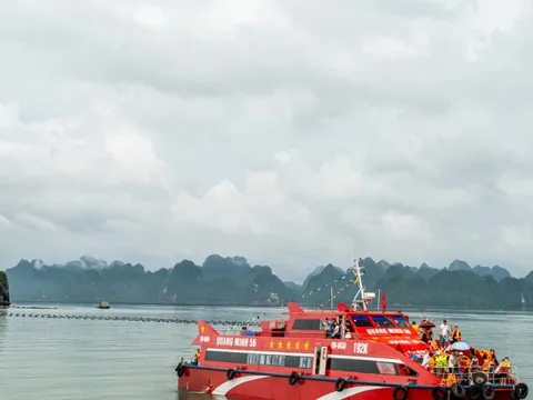 Quảng Ninh tạm dừng cấp phép cho tàu chở khách, tàu du lịch ra biển