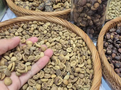 Giá cà phê hôm nay 9-9: Quay đầu tăng vọt