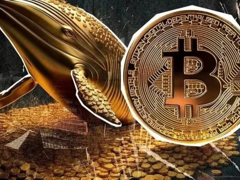 Bitcoin (BTC) là gì? Tất cả những điều cơ bản nhà đầu tư cần biết