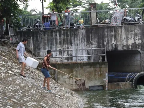 Người dân hồ hởi vợt cá sau khi sông Tô Lịch được bổ cập nước từ Hồ Tây