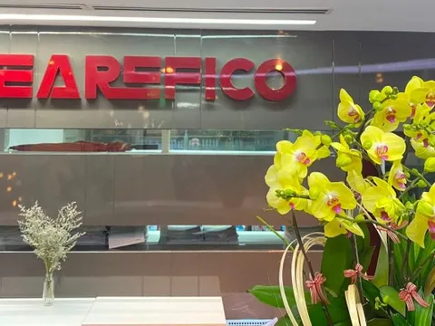 Searefico (SRF): Lãi sau soát xét tăng vọt 76%, đối mặt nguy cơ bị hủy niêm yết trên HoSE