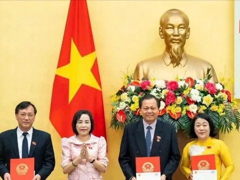 Phó Chủ nhiệm và 2 đại biểu Quốc hội chuyên trách nghỉ hưu trước tuổi
