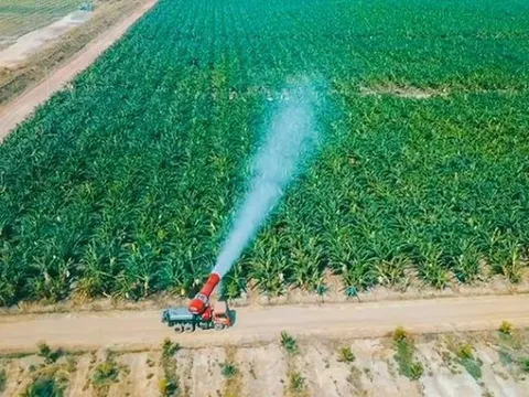 Thaco Agri của tỷ phú Trần Bá Dương có tổng tài sản tăng vọt lên hơn 67.000 tỷ đồng, vượt Becamex, gấp 3 lần HAGL