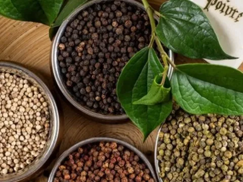 Giá tiêu hôm nay 11/9: Tiêu xuất khẩu của Việt Nam bất ngờ tăng vọt