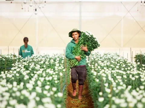 Nợ vay của PAN Farm phình to trong nửa đầu năm 2025