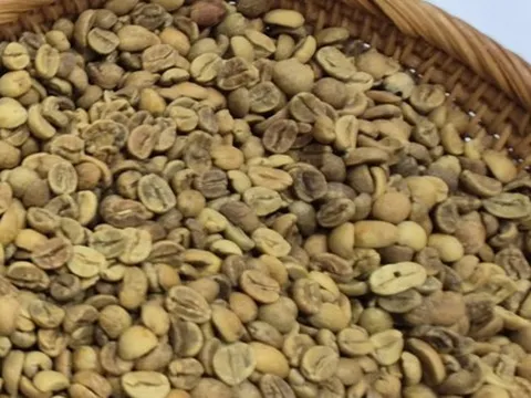 Giá cà phê hôm nay 12-9: Tăng tiếp, nhiều ông lớn chuỗi cà phê xáo trộn