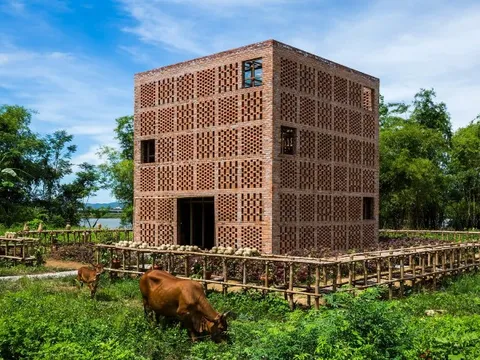 Một sản phẩm của Việt Nam gây ấn tượng trên báo quốc tế, loạt nước chốt đơn ào ào