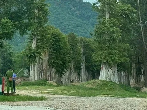 Bộ Công an khởi tố, bắt tạm giam 5 cán bộ ở Gia Lai