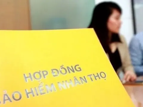 Lợi nhuận bảo hiểm nhân thọ lao dốc trong nửa đầu năm 2025